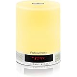 LED Bluetooth Speaker, Fuleadture All-in-1 Portable Wireless Speakers with LED Table Lamp, Alarm Clock, Hands-Free Speakerphone with Mic, Support TF Card for Smartphones and All Audio Enabled Devices