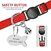 Didog Pretty Breakaway Cat Collars with Fish Shaped ID Tags,Bow-Tie Cat Collar Charms for Kitten Small Dogs,Red