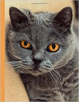 I Love British Blue Shorthair Cats 2019 Planner Large Weekly