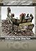 1/35 Scale - WW2 Ruined Shop Front Diorama - Military model kit …