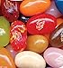 Jelly Belly Jelly Beans 49 Flavors 12 Oz