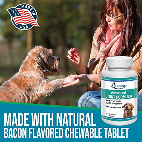 BestLife4Pets Dog Glucosamine Chondroitin and Turmeric Joint Pain Relief Supplement (60 Chews)