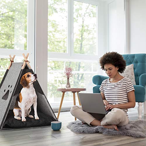 Relaxdays Hondentent, kleine huisdiertipi voor honden en katten, van vilt en hout, met kussen, 70,5 x 59,5 x 59 cm… - Afbeelding 3