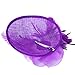 Valdler Halloween Costume Feather Net and Veil Fascinator Hair Clip Hat Hair Accessories Clip for Festival Party Purple