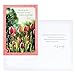 DaySpring - Sympathy - Serenity - 12 Boxed Cards (51726),Multi
