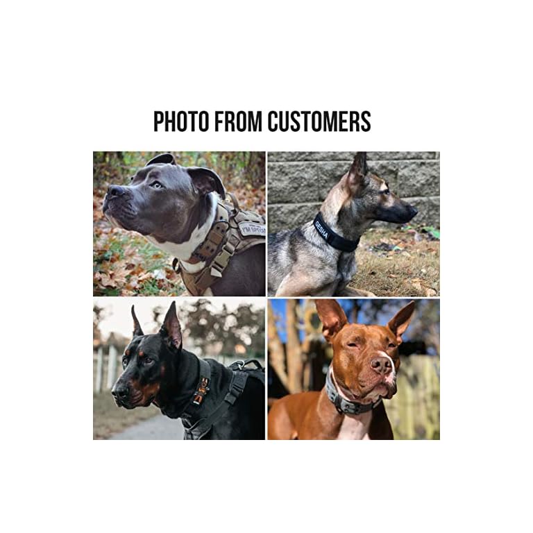 verstellbare Hundehalsband weiches Hundehalsband für Hunde