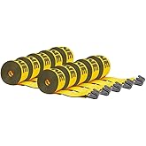 Mytee Products Kinedyne Winch Straps 4" x 30' Gold Heavy Duty Tie Down w/Flat Hooks WLL# 5400 lbs | 4 Inch Cargo Control for Flatbed Truck Utility Trailer (10 Pack)
