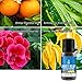 Anxiety Relief Essential Oil Blend - Pure & Natural Ingredients, Therapeutic Grade - Depression, Stress Relief, Relaxation, Boost Mood, Calming (USA) - 10ml