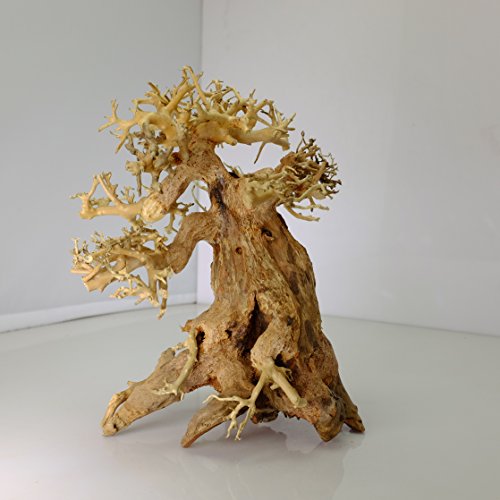 image for Bonsai Driftwood Aquarium Tree AM (8 Inch Height x 6 Inch Length) Natu