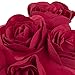 JWH 3D Flower Throw Pillow Cover Decorative Handmade Floral Pillow Case Soft Velvet Pillowcase Lumbar Cushion for Bed Living Room Chair Couch Decor Shams 12x20 Inch Red