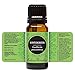 Wintergreen 100% Pure Therapeutic Grade Essential Oil by Edens Garden- 10 ml