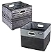 High Road CargoCube Trunk and Car Organizer Bins with Leakproof Lining - Set of 2 (1 Black/1 Baja)