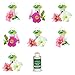 AeroGarden Cascading Petunia Flower Seed Pod Kit primary
