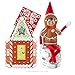 Elf on the Shelf Boy Light with Gingerbread Costume (Amazon Exclusive)