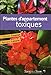 Plantes d'appartement toxiques by 