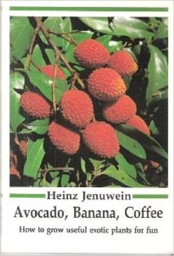 Avocado Banana Coffee How To Grow Useful Exotic Plants For Fun Jenuwein Heinz 9780565010409 Amazon Com Books