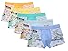 CHUNG Toddler Boys Soft Modal+ Cotton Boxer Briefs Underwear 5 Pack, js-Dino, 4T