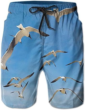 Flying The Seagulls Men's Bathing Suit Quick-dry Board Shorts Funky Swim Trunk With Pocket Large