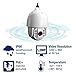TRENDnet Indoor/Outdoor Speed Dome PoE+ IP Camera with 1.3 Megapixel 720p HD Resolution, 20x Optical Zoom, 16x Digital zoom with Auto-Focus, IP66 Weather Rated Housing, Smart IR Night Vision up to 330 ft., Endless 360 degree Pan/ 95 Degree Tilt, Samba or Micro SD Card slot, Digital WDR, Secu, Free App for Android, and IOS, TV-IP450PI