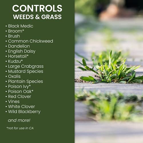 Natria 100532524 Grass & Weed Control with Root Kill Herbicide Weed