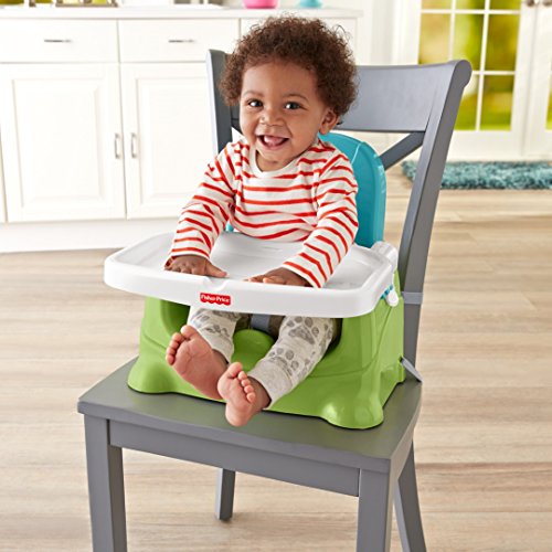 1 Fisher+Price+Healthy+Care+Booster+Green
