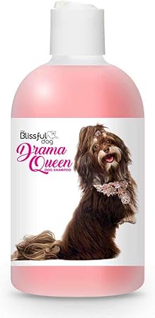 best dog shampoo for havanese