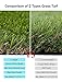 GOLDEN MOON Artificial Grass 1.57
