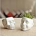 Berry President Skull Flower Pot, White Ceramic Skull Capita Planter, Succulent Plants Pots Potted for Desktop Ornaments Office Decor, paperclips Storage, Small Object Storage Containers (2 Pots)