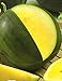 Watermelon Yanusyk - 30 Seeds - Organically Grown - NON-GMO