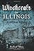 Witchcraft in Illinois: A Cultural History by Michael Kleen, Owen Davies