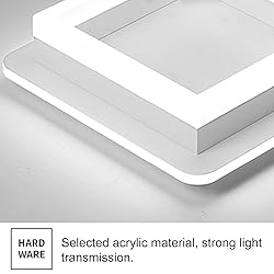 CANEOE 24W Square Hallway Light, Modern Flush Mount