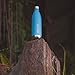 Thermo Tank Insulated Stainless Steel Water Bottle - Ice Cold 36 Hours! Vacuum + Copper Technology - 25 Ounce (Haze Blue, 25oz)