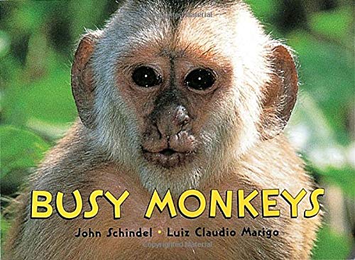 Busy Monkeys (A Busy Book) - Thumbnail 3