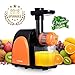 Juicer Slow Masticating Juicer Extractor,Cold Press Juicer Machine, Slow Juicer Extractor with Quiet Motor & Reverse Function,Easy to Clean,Higher Nutrient Fruit and Vegetable juice