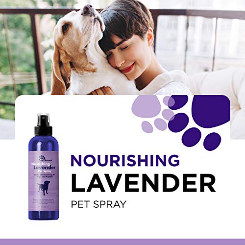 Pet Odor Eliminator Spray for Dogs - Dog Spray For Smelly Dogs and Dog Calming Spray with Lavender Essential Oil - Pet… - Image 4
