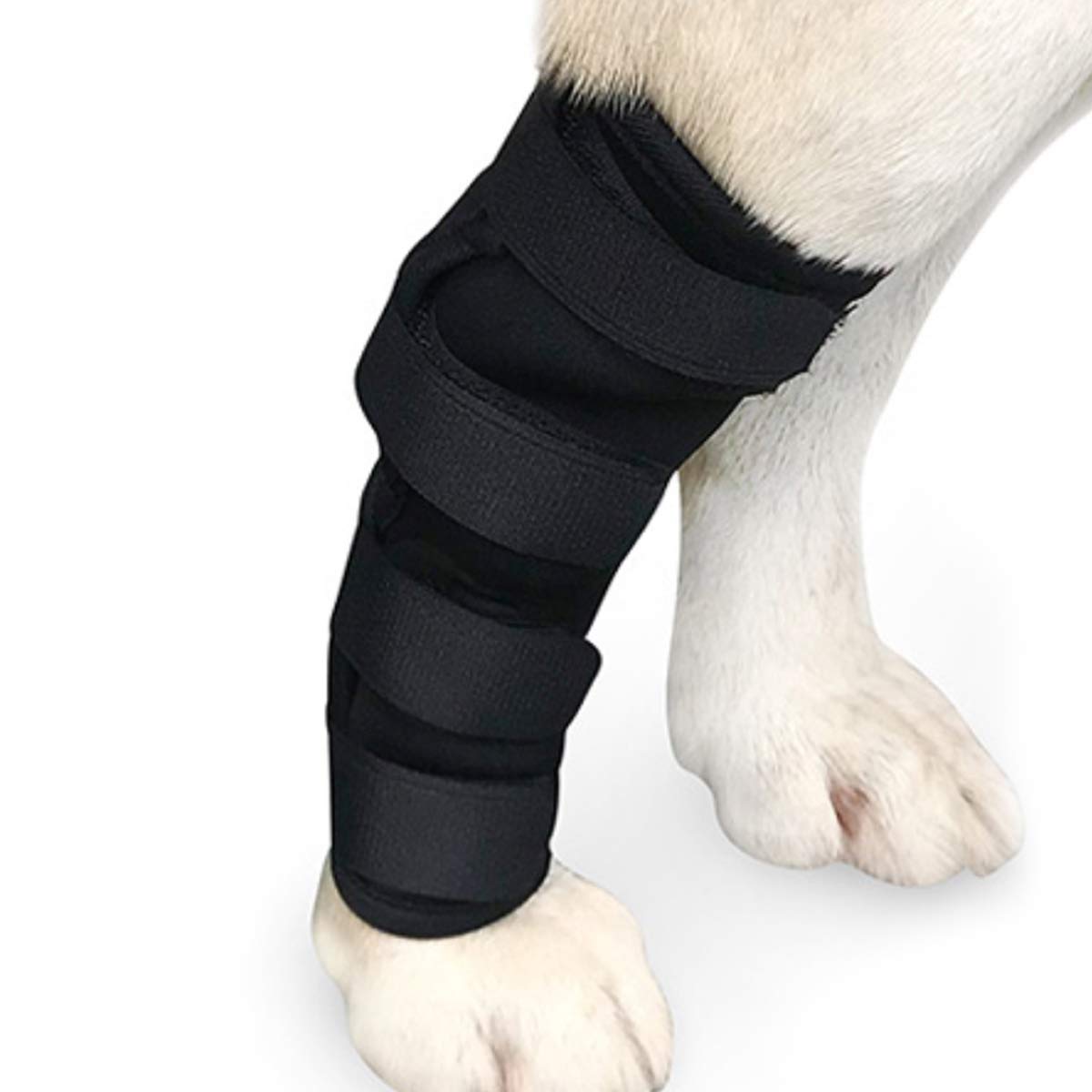 Buy WEDAWN Dog Brace Powerful Canine Rear Leg Hock Joint Brace Wrap