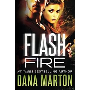 Flash Fire: (A Navy SEAL Romance)