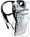 SOJOURNER Hydration Pack Backpack - 2L Water Bladder Included for Festivals, Raves, Hiking, Biking, Climbing, Running and More (Holographic Silver)