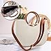 Straw Handbag for Women Summer Beach Straw Handbag Wooden Ring Tote Crossbody Shoulder Bag With Leather Strap (Beige)