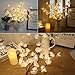 Fine Phalaenopsis Tree Branch Lights - Led Branches Battery Powered Decorative Lights Tall Vase Filler Willow Twig Lighted Branch for Home Party Garden Decoration (White)