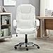 Belleze High-Back PU Leather Executive Office Ergonomic Computer Desk Chair with Padded Arms Chrome Silver, Adjustable Height & 360 Swivel - Stella (White)