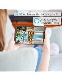 Netvue Vigil 1080p Cámara de bala, compatible con Alexa Impermeable al aire libre Seguridad del hogar WiFi habilitado, color blanco