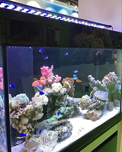 Zeiger Eco 36" Full Spectrum Multi-Color 129 LED Aquarium Light for 36-48 inches 90cm-120cm Freshwater Saltwater Fish Tank Lamp for Plant Reptile - Thumbnail 6