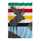 Hudsons Bay Charles Pachter Throw One Size Baywatch