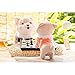 Me Too Stuffed Shiba Inu Dog 2018 Chinese New Year Plush Puppy Animal Toys 8