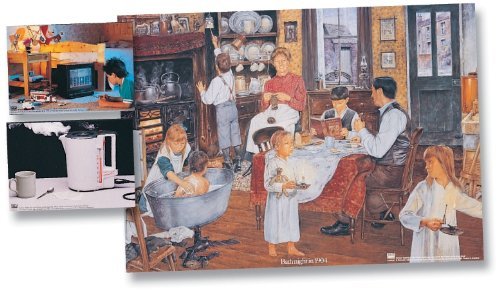 Wildgoose Education WG2249 Homes Through Time Poster and Photo pack