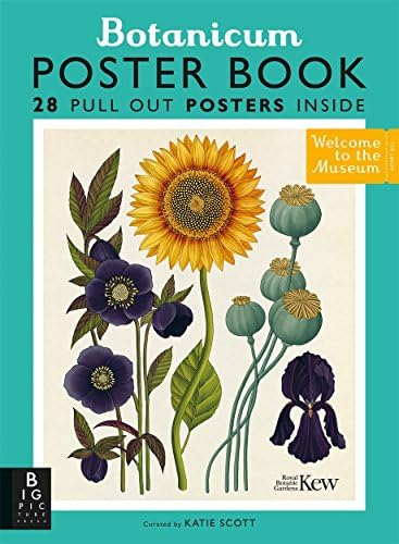 Botanicum (Mini Gift Edition) (Welcome To The Museum): Katie Scott