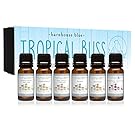 Premium Fragrance Oils - Tropical Bliss - Gift Set 6/10ml Bottles - Coconut Cream, Honeydew Melon, Mango, Pear, Pineapple, Tropical Passionfruit