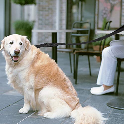 Florenceenid Multifunctional Nylon Elastic Stretch Pet Dog Lead Leash Rope Retractable Pet Dog Puppy Running Rope for Pet Vest Pet Supplies - Thumbnail 2