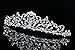 Flower Vine Design Bridal Tiara Crown - Blue Crystals Silver Plating T797